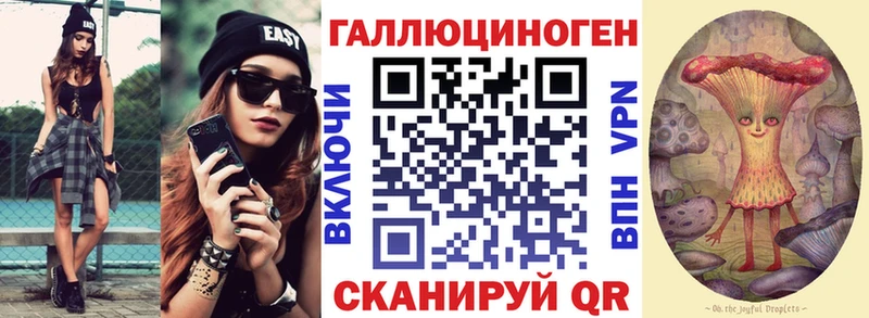 Купить закладки  Камень-на-Оби  Псилоцибиновые грибы Cubensis 